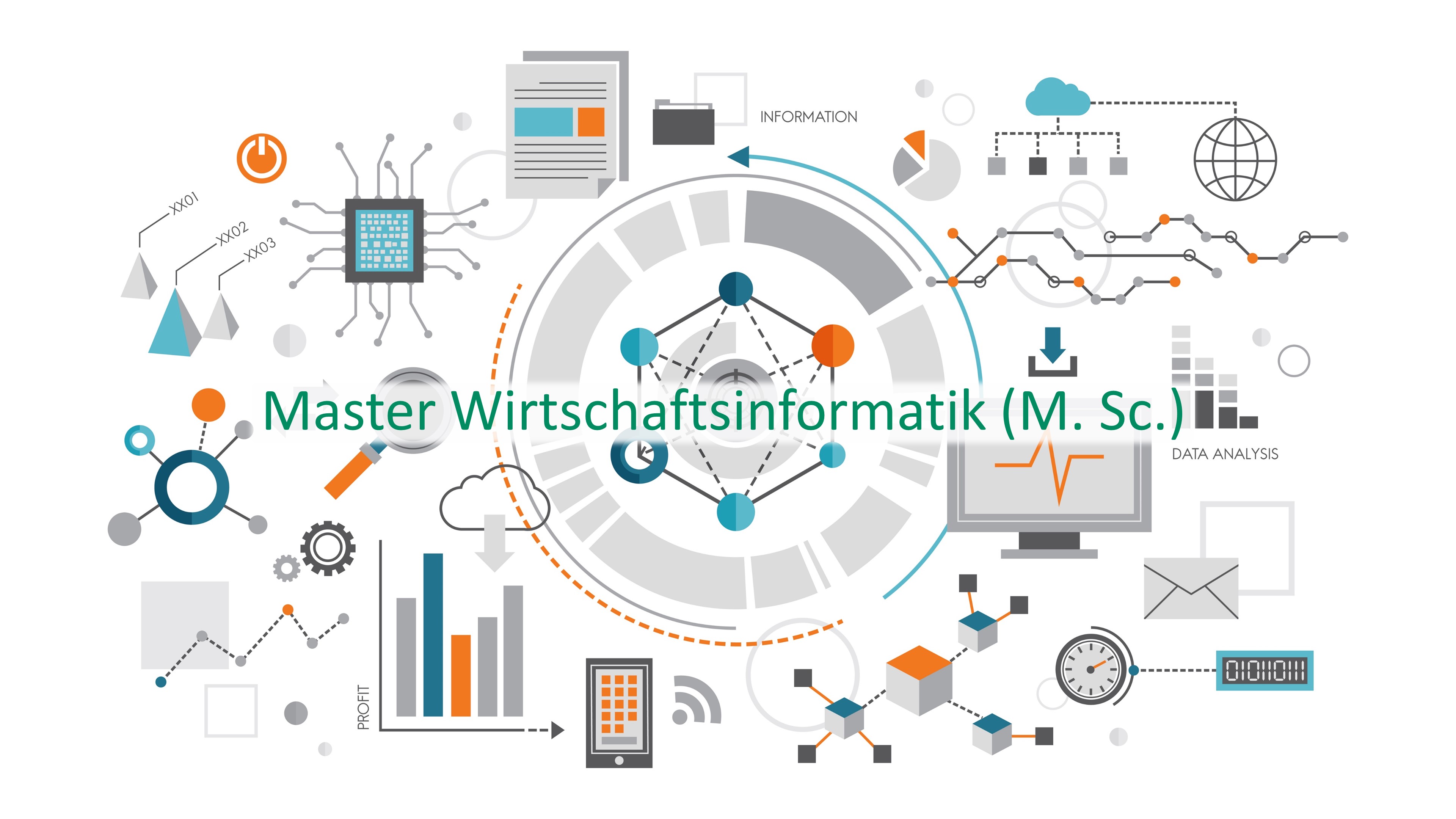 Studiengang Wirtschaftsinformatik (M.Sc.)